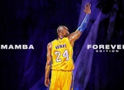 官方网站 : 日本人评价郑钦文 