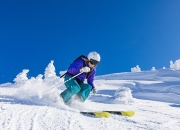 官方网站 :赛前速览：美网八强战多特蒙德对阵阿森纳，三大看点值得期待的简单介绍