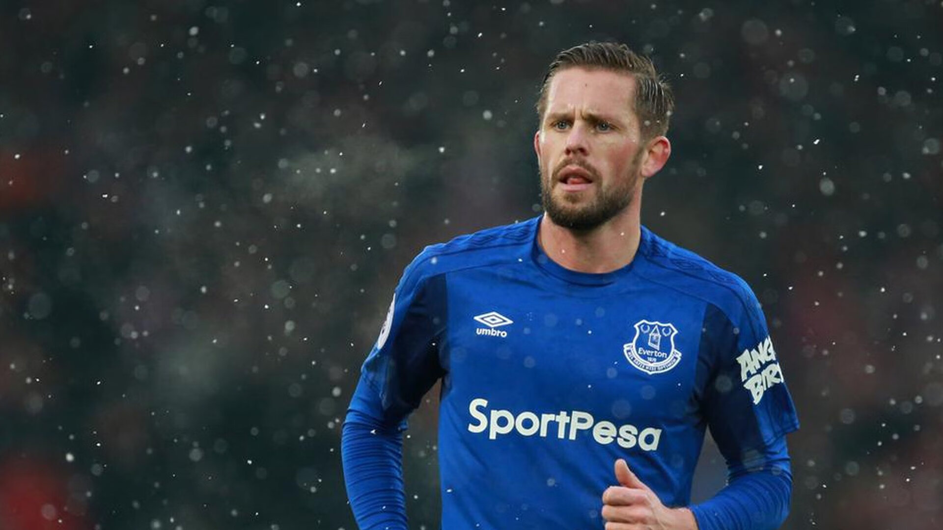 库里官方宣布晋级下一阶段新规，快船引发争议！引发球迷热议(德国球迷庆祝晋级决赛)